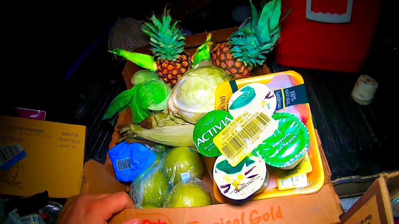 Survival Diving For Free Food And Other Essential Items!!