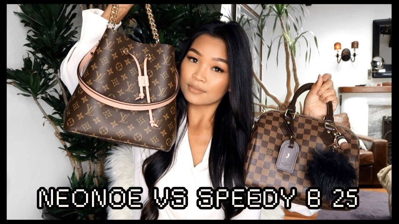 NEONOE VS SPEEDY B 25 | LOUIS VUITTON