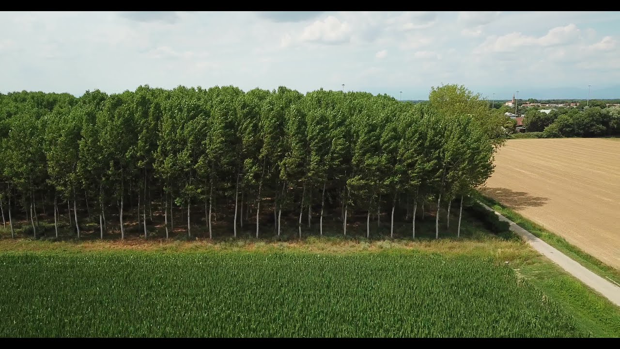 【4K】Gonars in Italy🇮🇹 by drone !!!!!