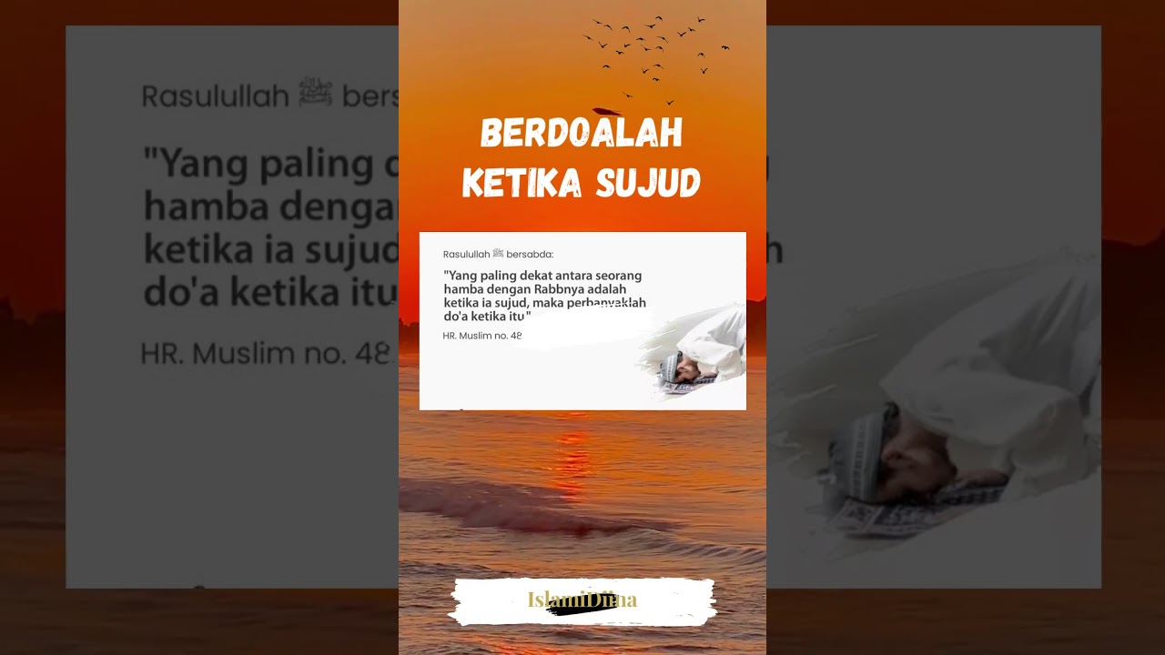 #fiqih
