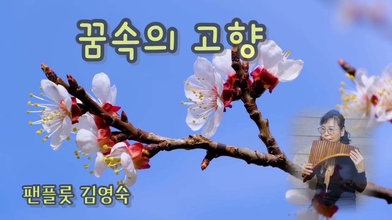 #꿈속의 고향 #Going Home #드보르작 #팬플룻김영숙//