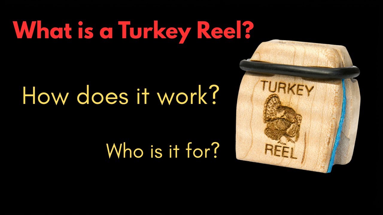 Best Sounding Turkey Call? What is it?