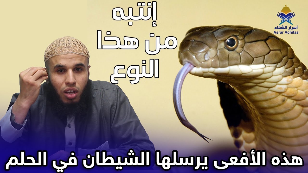 إذا حلمت بهذه الأفعى فاعلم أنك مصاب بهذا السحر