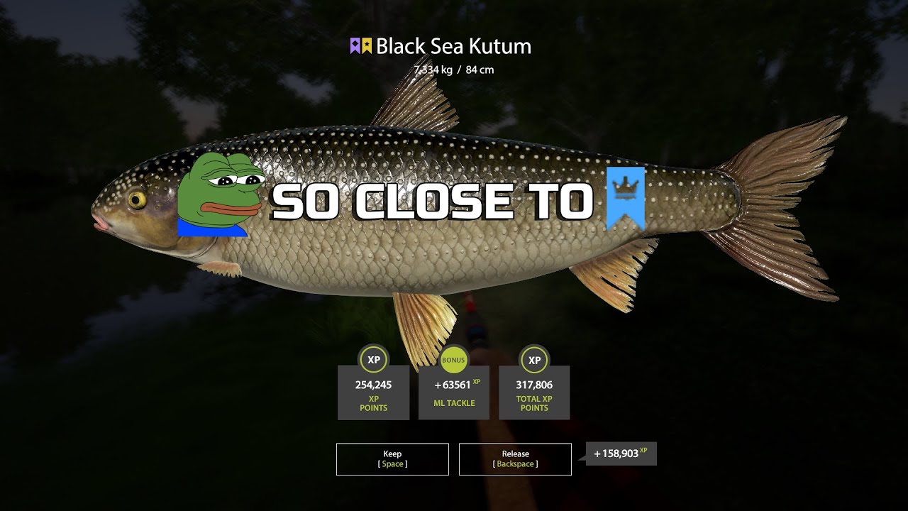 Russian Fishing 4 - Black Sea Kutum Trophy 7,334 kg - Seversky Donets River