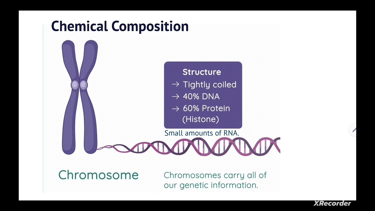 @HR_Academy-SA chromosome-Biology 9ᵗʰ grade (English & urdu )