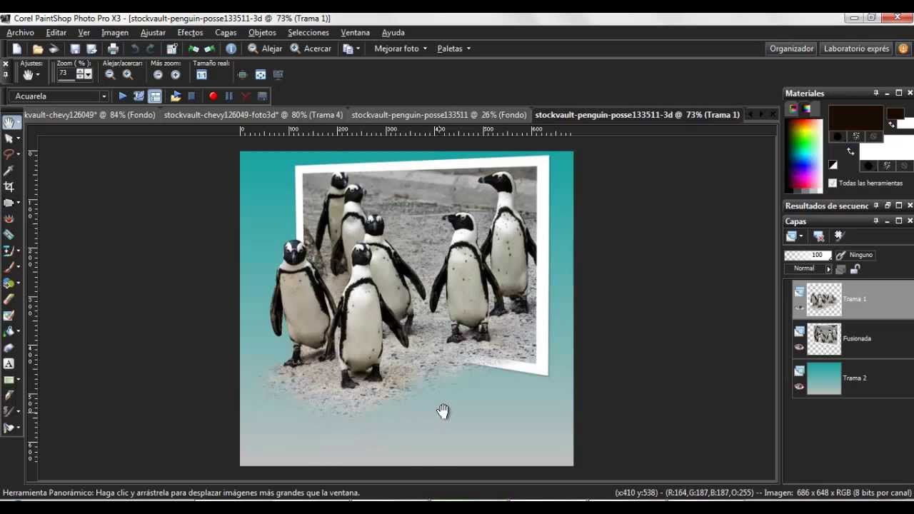 Paint Shop  Pro - Foto 3D