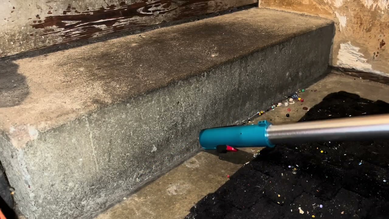 Stairs and under the rug crunch w/ Rio Mix🦜