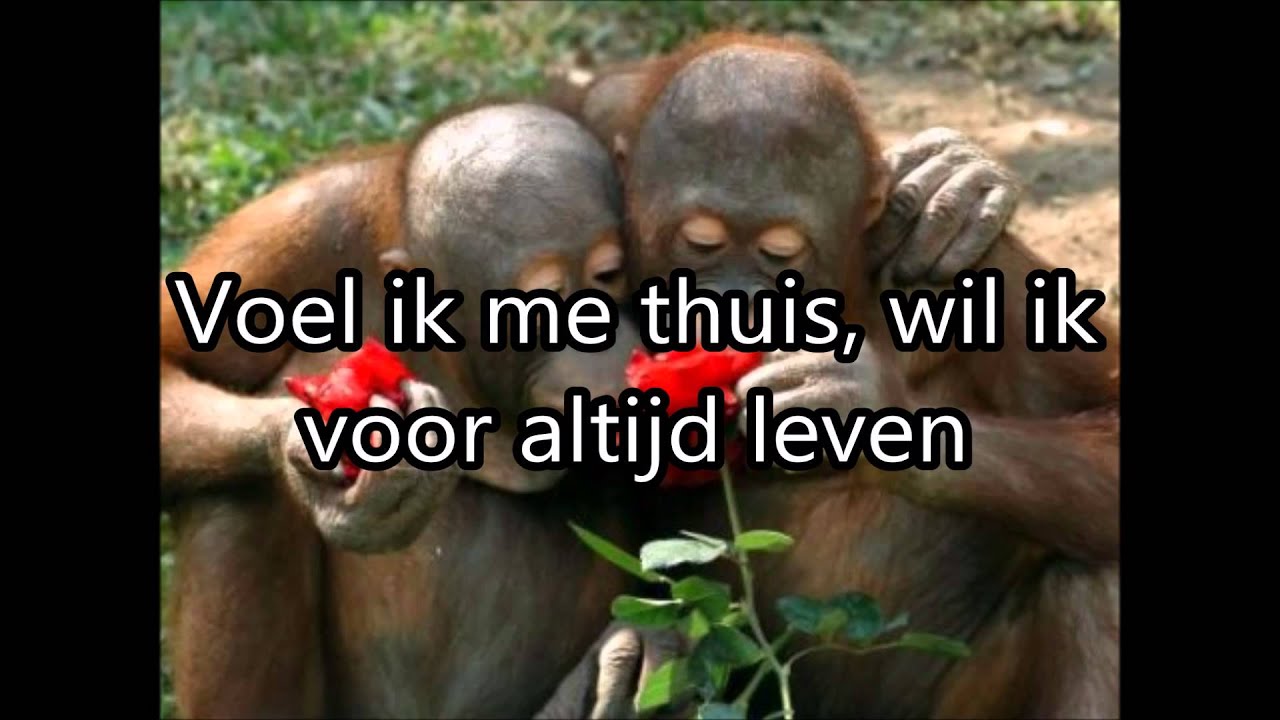 Jantje smit; Mattino Lyrics