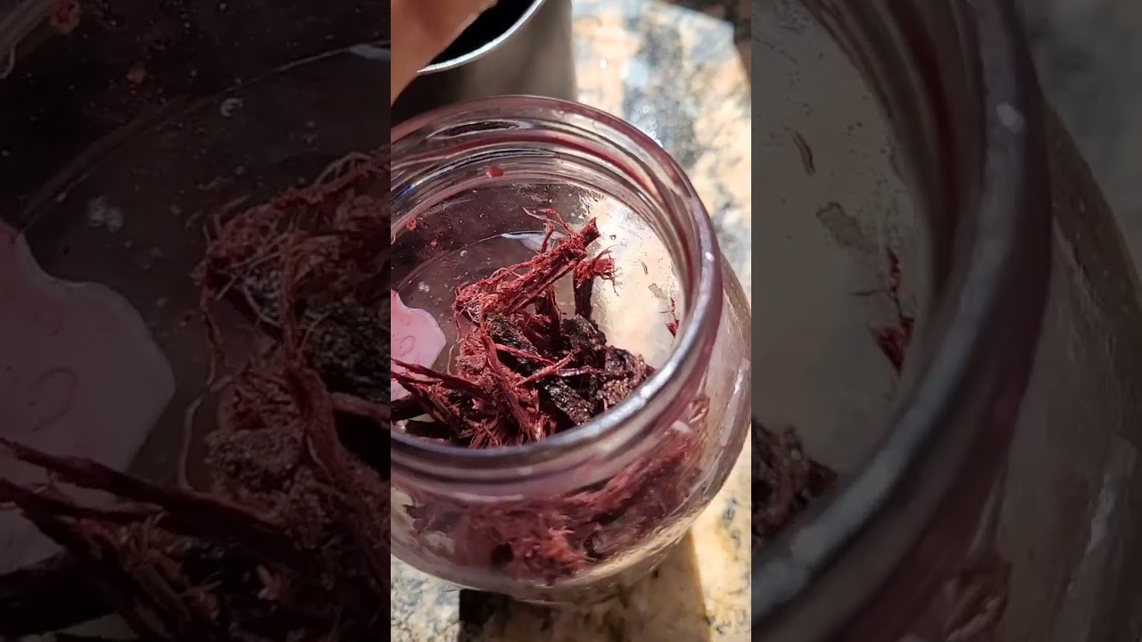 Jurema preta:A receita que mais gosto!