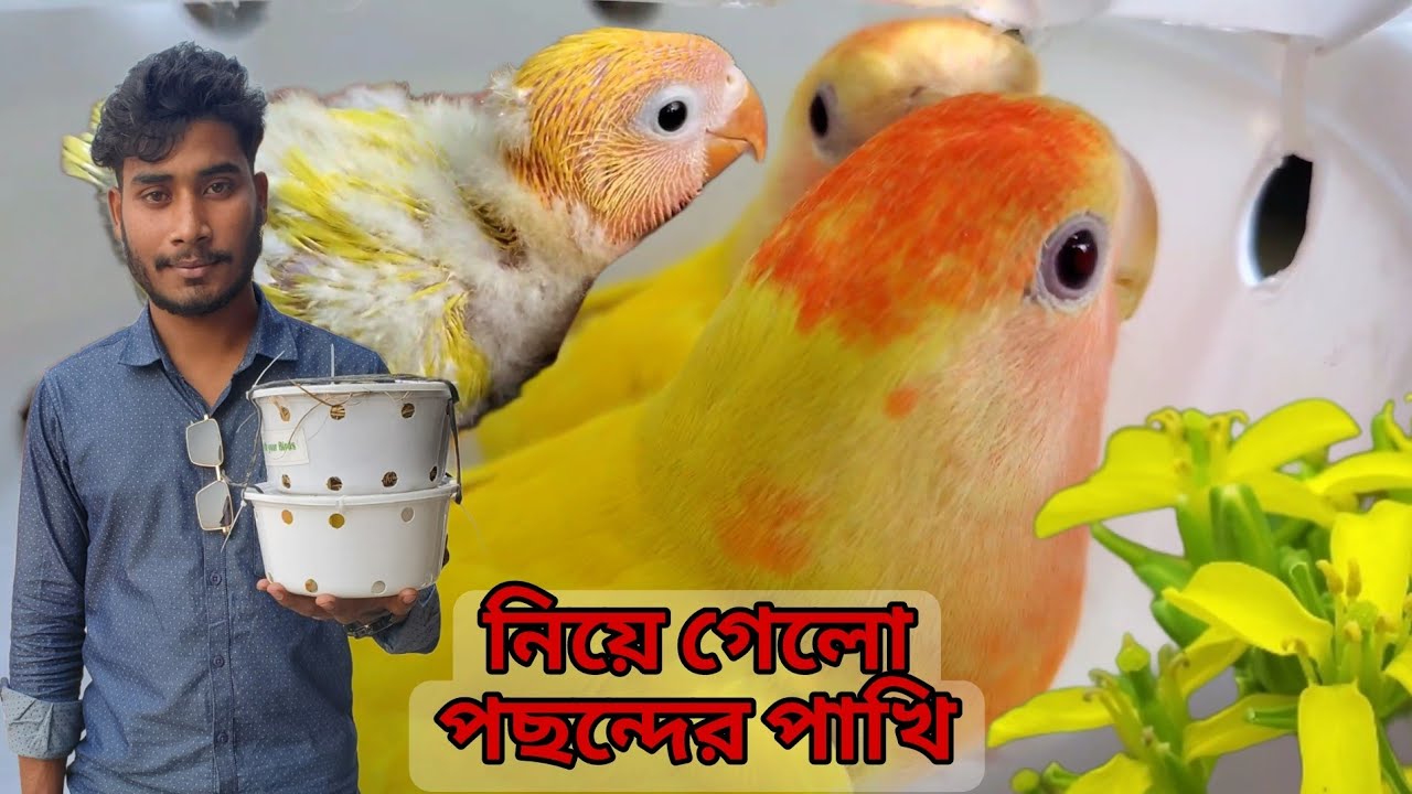 খামারে আজ অতিথিতে ভরপুর। নিয়ে গেলো পছন্দের পাখি।