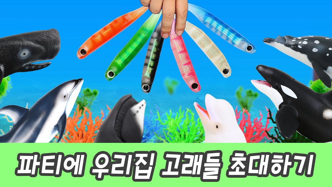 한국어ㅣ즐거운 파티에 우리집 고래들 초대하기! 색깔공부, 고래 이름 외우기, 컬렉타ㅣ꼬꼬스토이