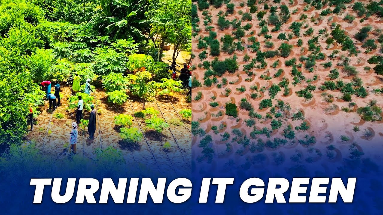 How Humans are Turning the Sahara Green