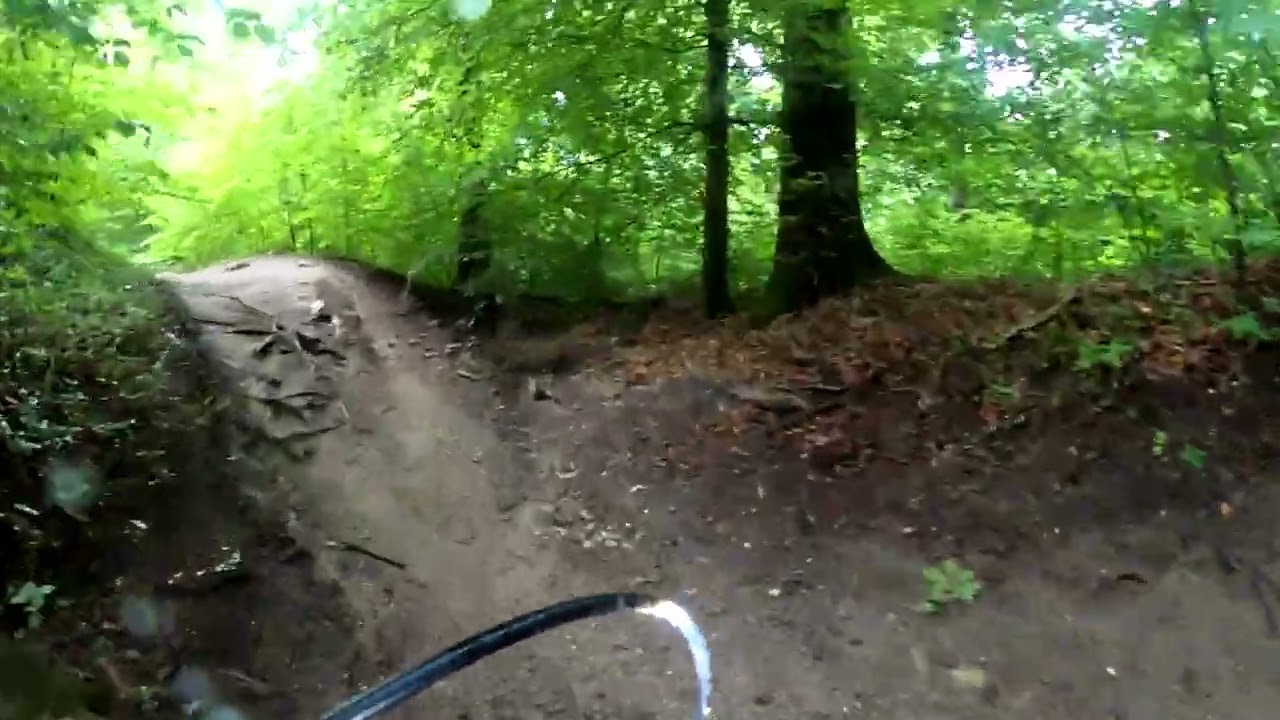 Adlisberg (Elif) Trail 650 blau und rot