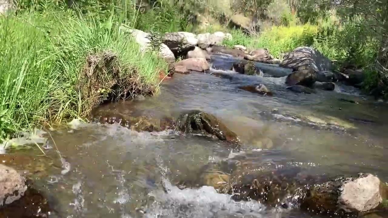 Sivas Divriği Mursal Koyü