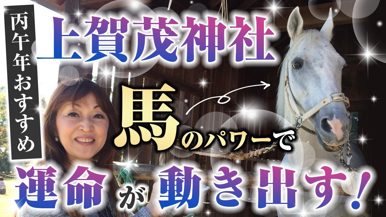 丙午年おすすめ！上賀茂神社 馬のパワーで運命が動き出す！