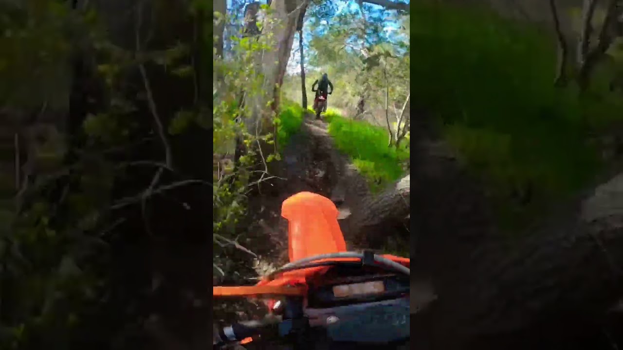 Leave a Single Track