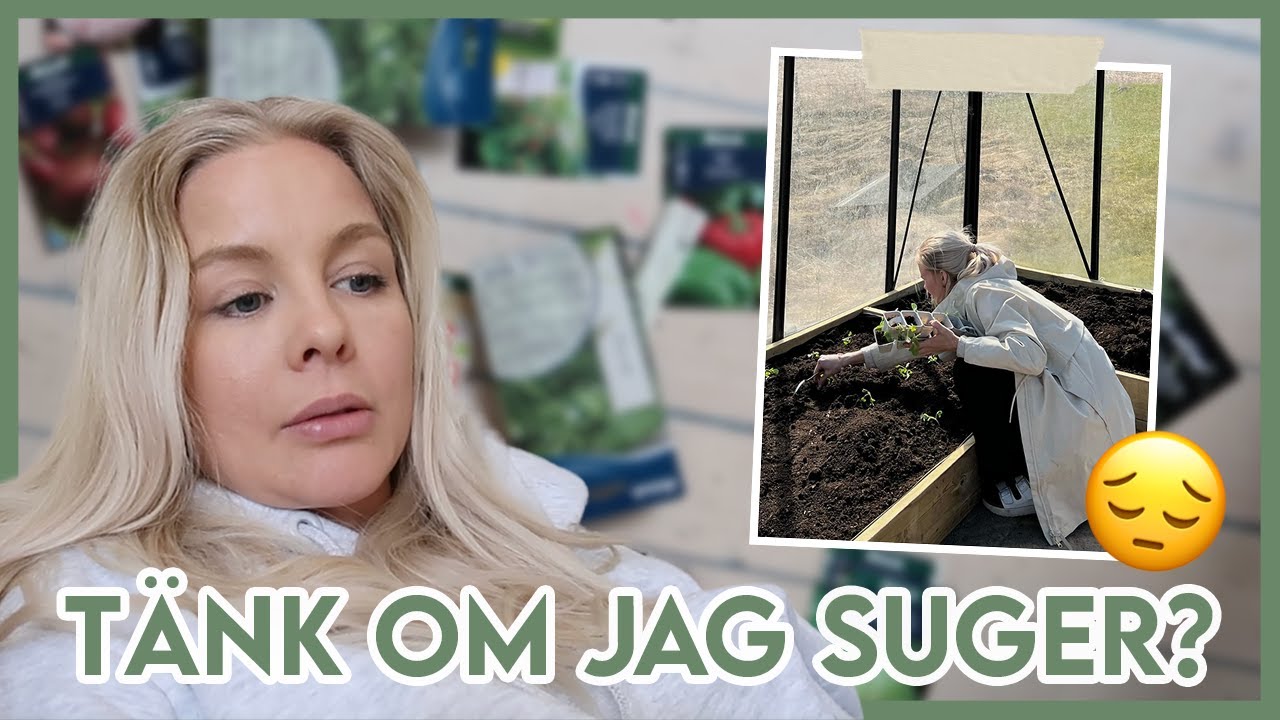 DEN STORA ODLINGSVLOGGEN