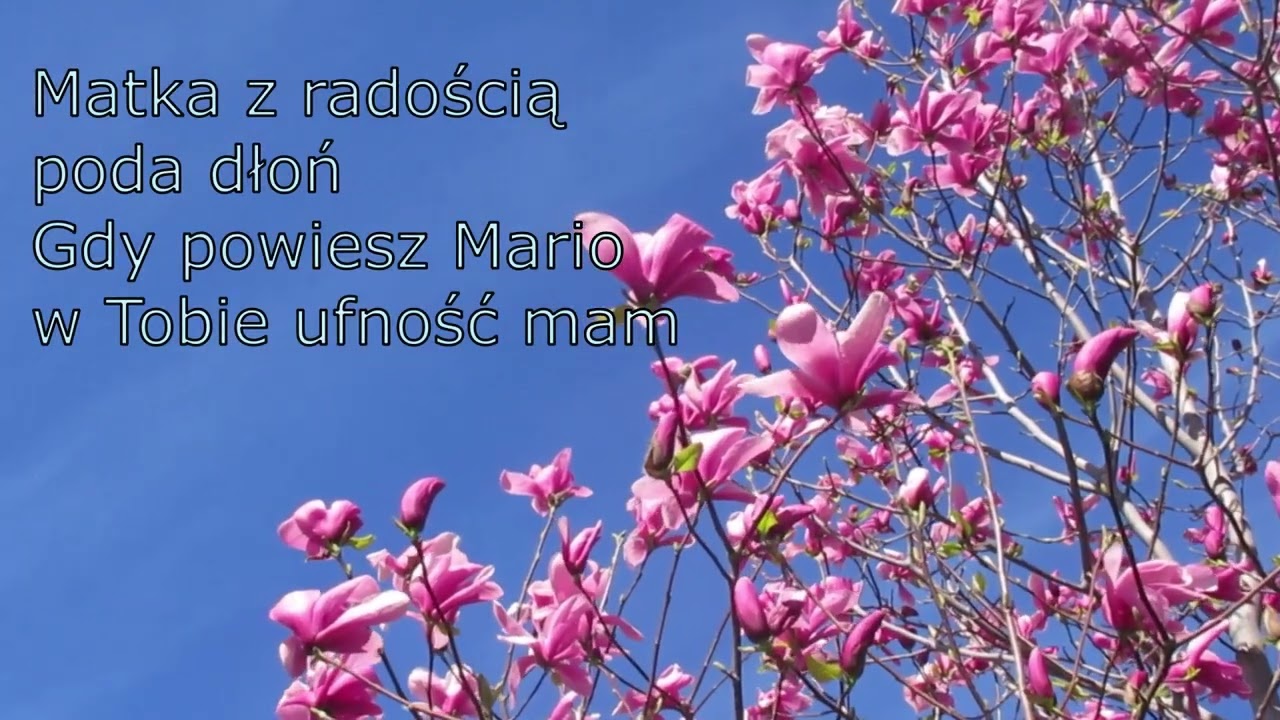 Jest na świecie miłość - Dolina Mszanki