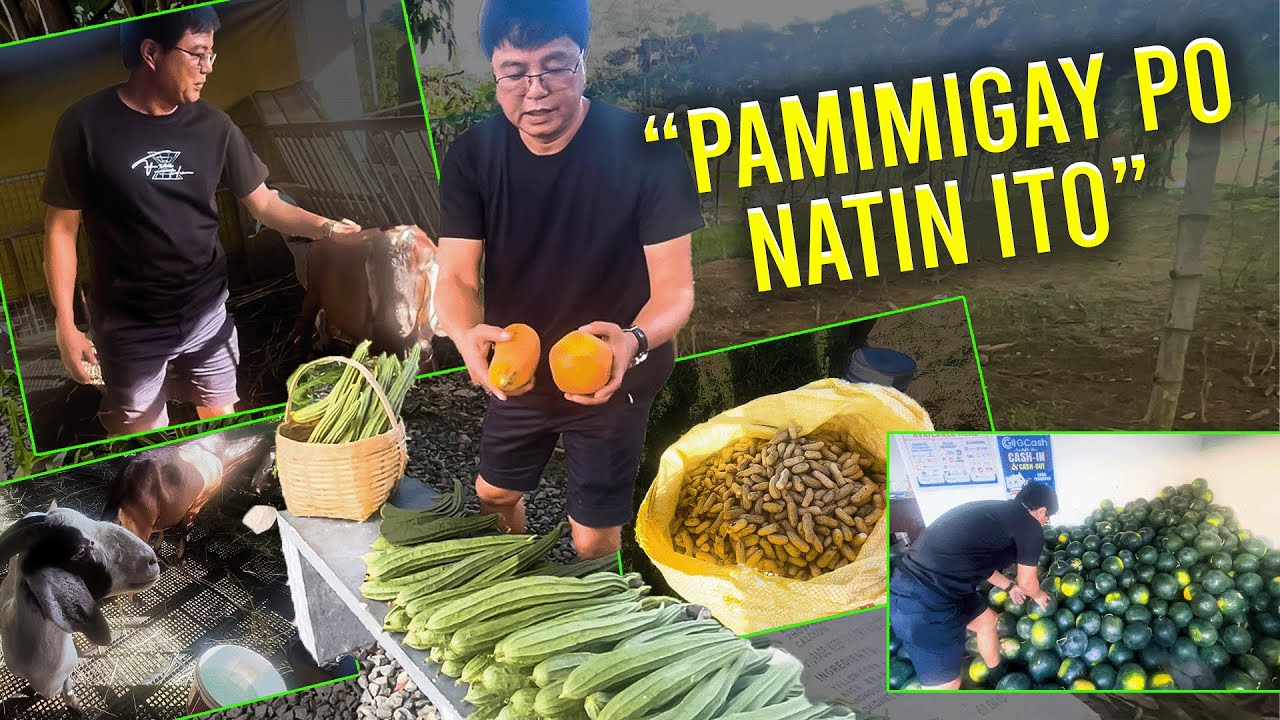 DALAWANG ARAW KASAMA SI IDOL | Romeo Catacutan - Idol Tiktok