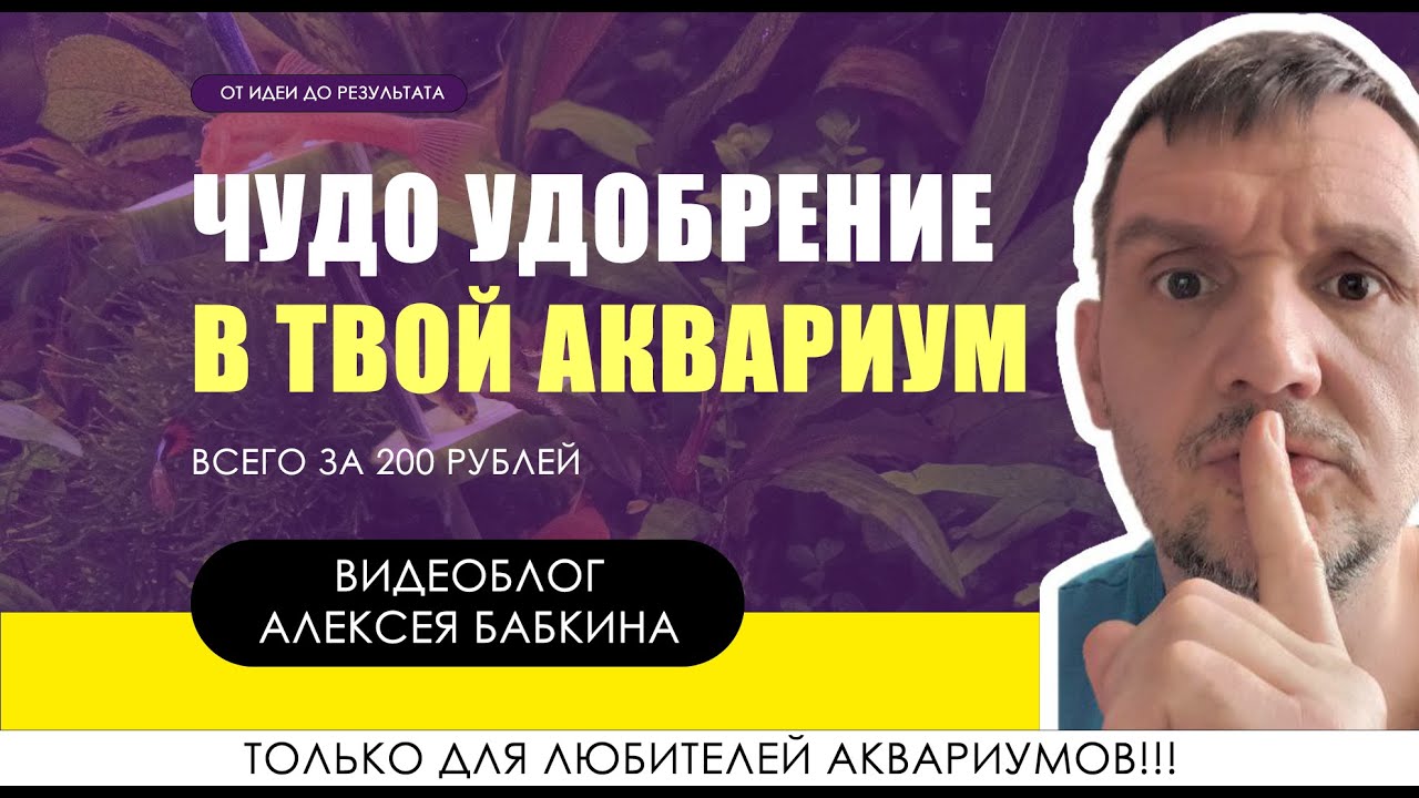 Как самому приготовить аквариумные удобрения. Дёшево и сердито. Через 1 месяц использования