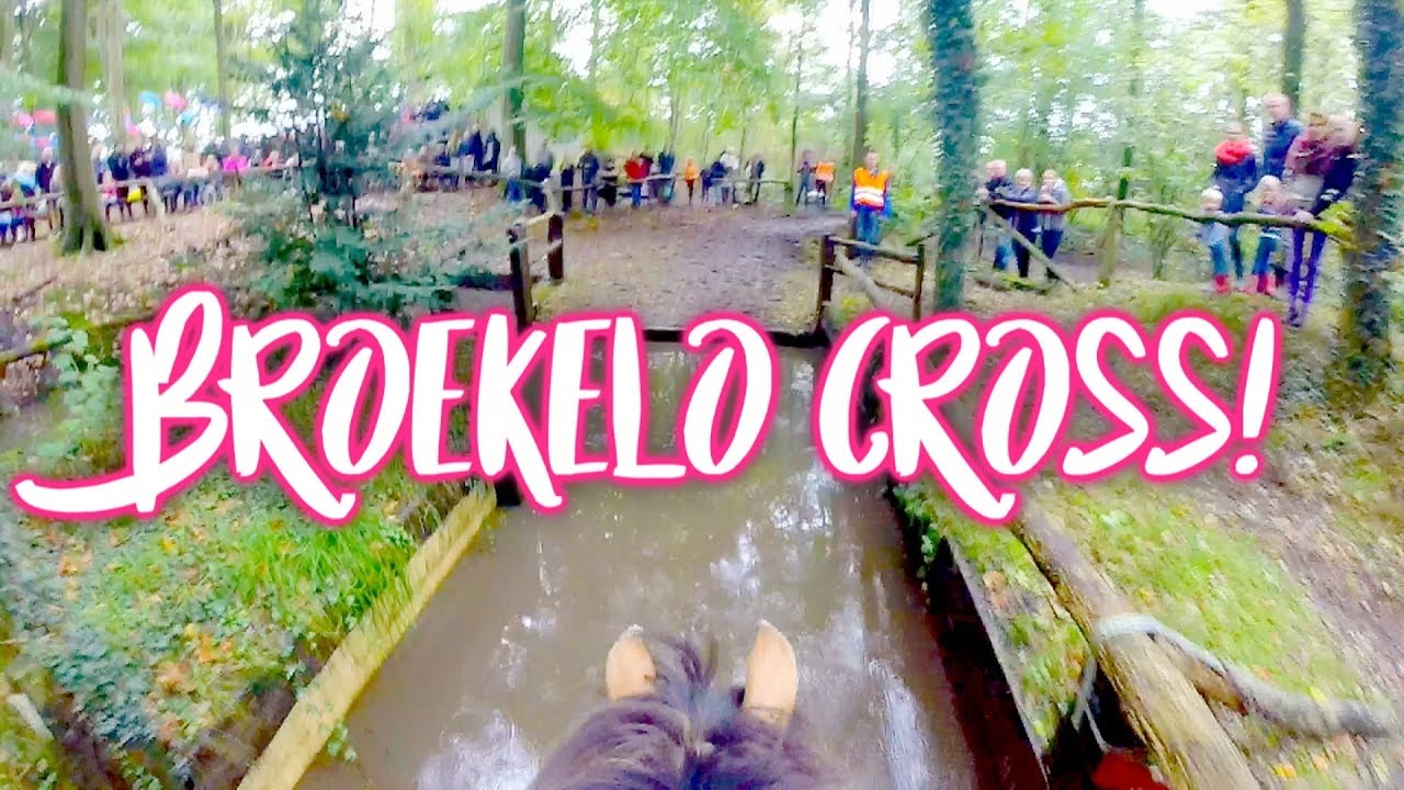 Onze beste cross ooit! | VLOG #95 felinehoi