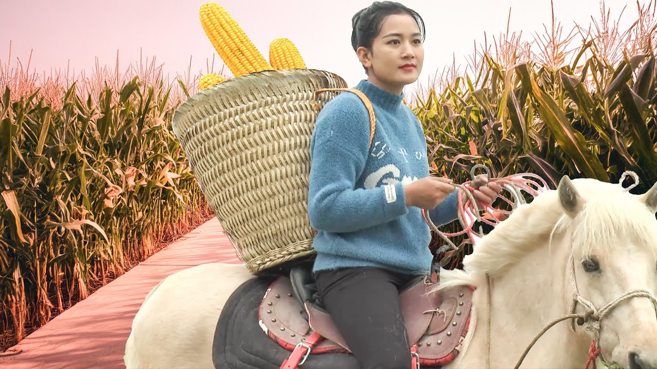 Harvesting corn on horseback _Journey to the market and cooking in the countryside
