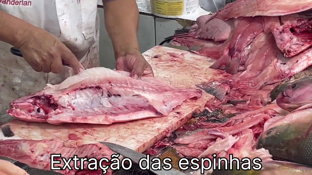 Na maior feira de peixes, delícias e farturas amazônicas #manausamazonas #amazonas #pescaria #fish 