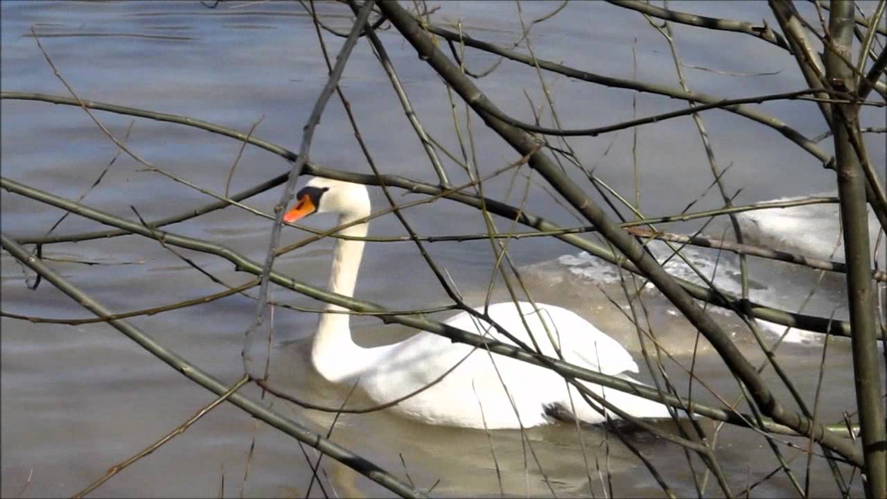 April in Turku, Finland - Th&aacute;ng Tư ở Turku, Phần Lan
