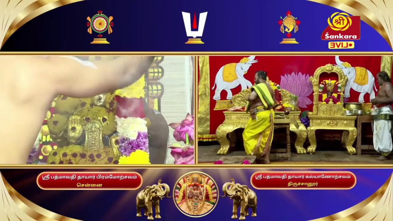 ஸ்ரீபத்மாவதி தயார் பிரம்மோத்ஸவம்-திருமலை திருப்பதி தேவஸ்தானம், தி.நகர் சென்னை