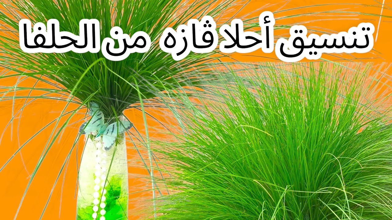 طريقه تنسيق فازه من نبات الحلفا ببلاش