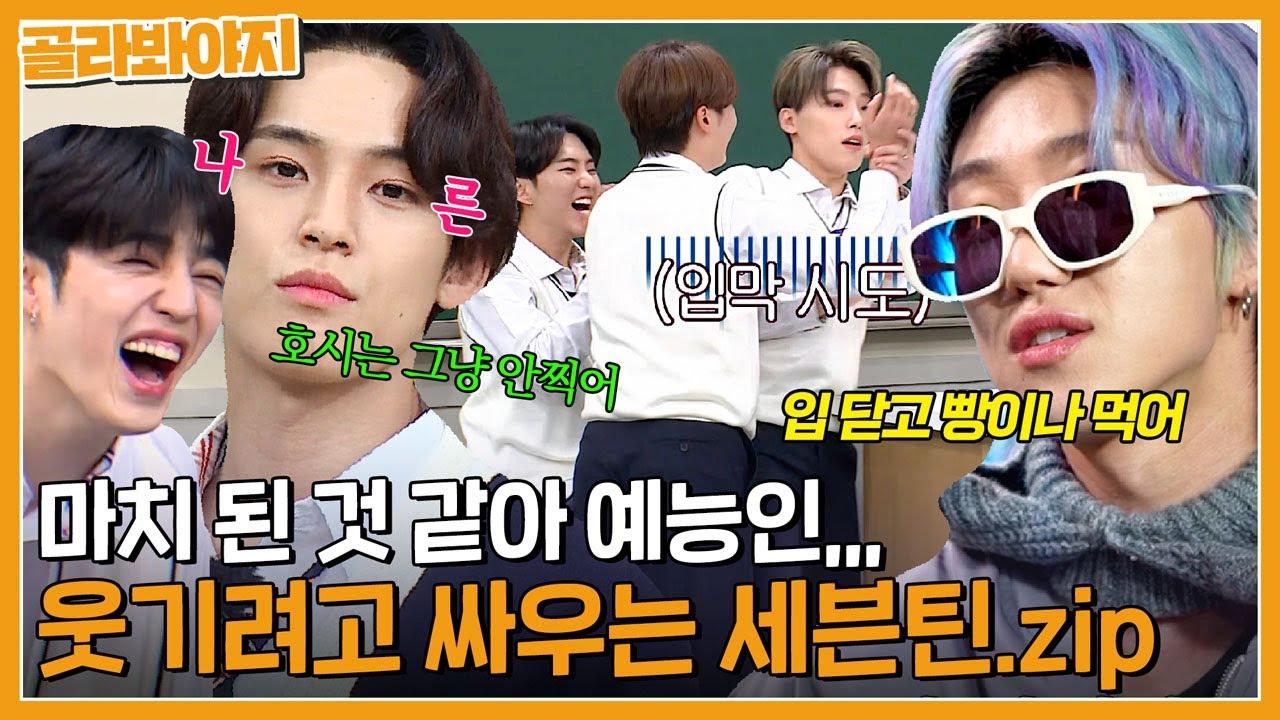 [세븐틴] 웃수저 손오공들💎 극딜마저 웃긴 사이좋은 개그틴 | 할명수 외