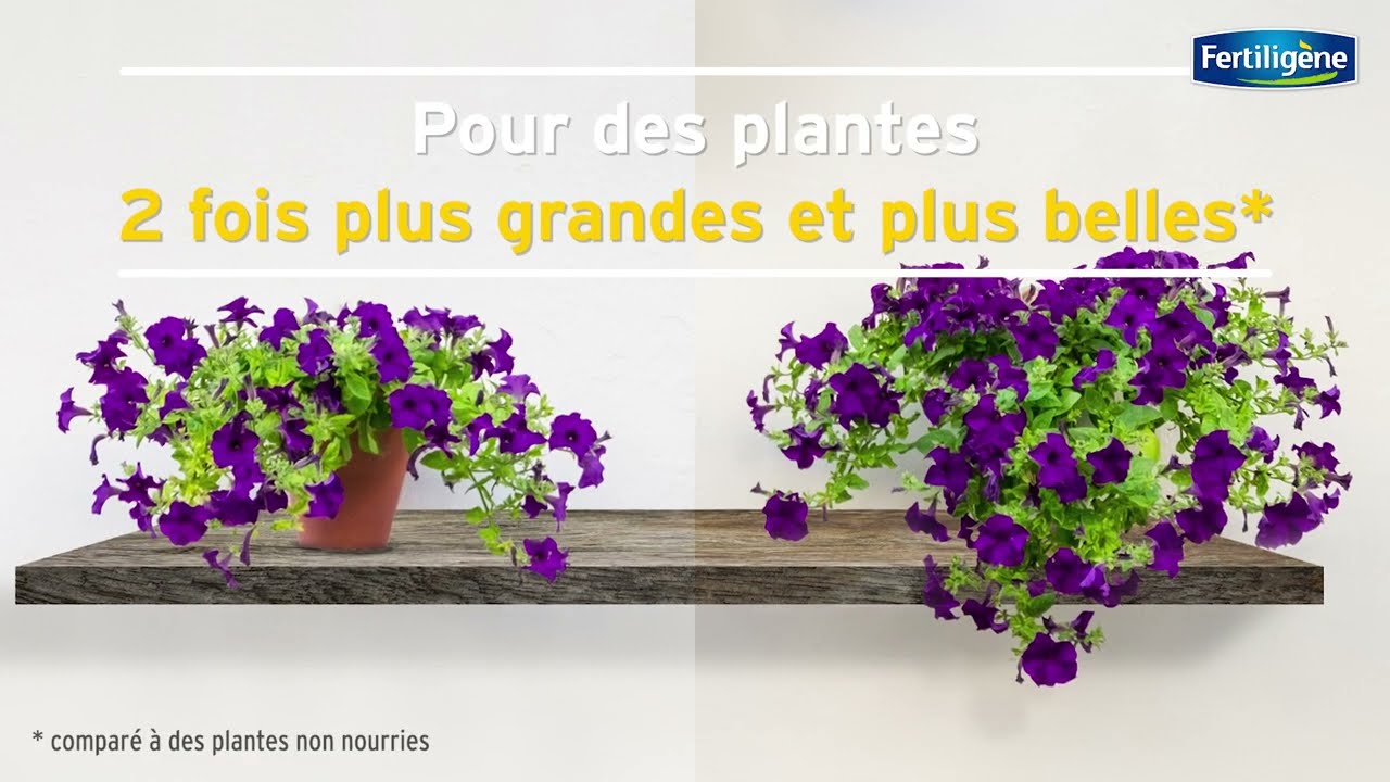 Les Engrais Longue Durée Osmocote Max Fertiligène