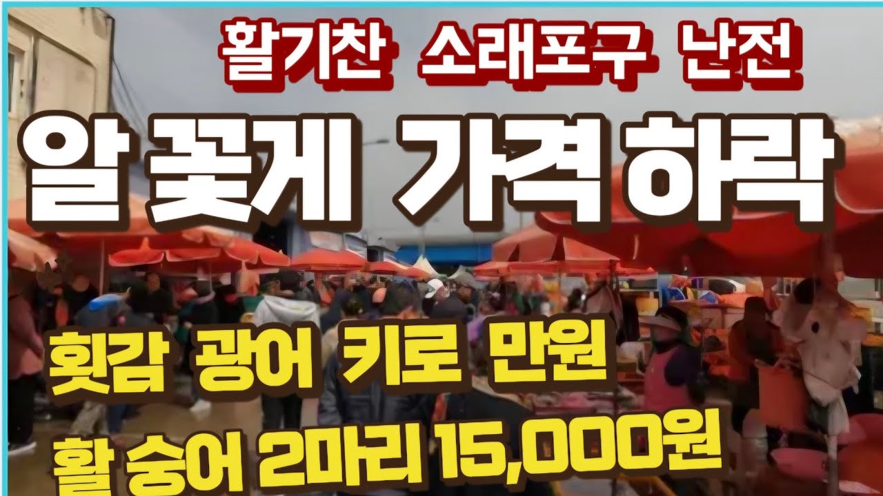 알꽃게  가격하락, 활숭어 2마리 15,000원,  횟감 광어  키로 만원.