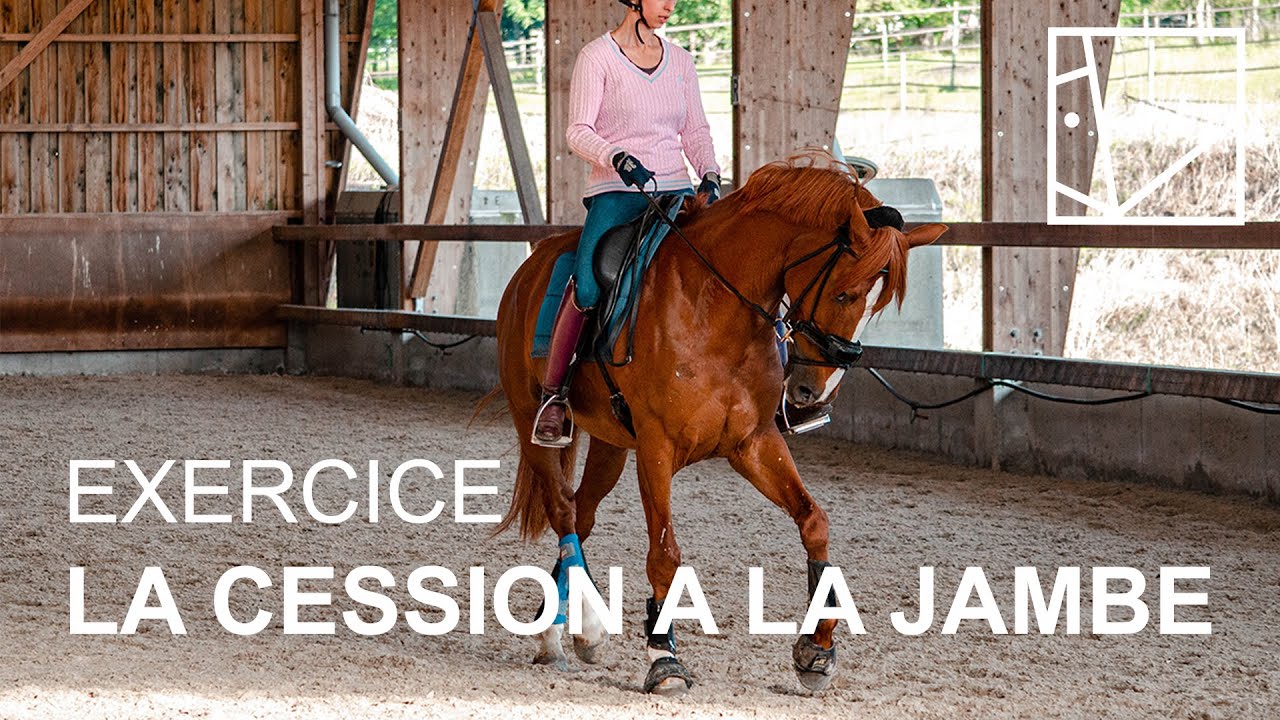 COMMENT APPRENDRE LA CESSION A LA JAMBE A SON CHEVAL / SERIE TECHNIQUE #13 /