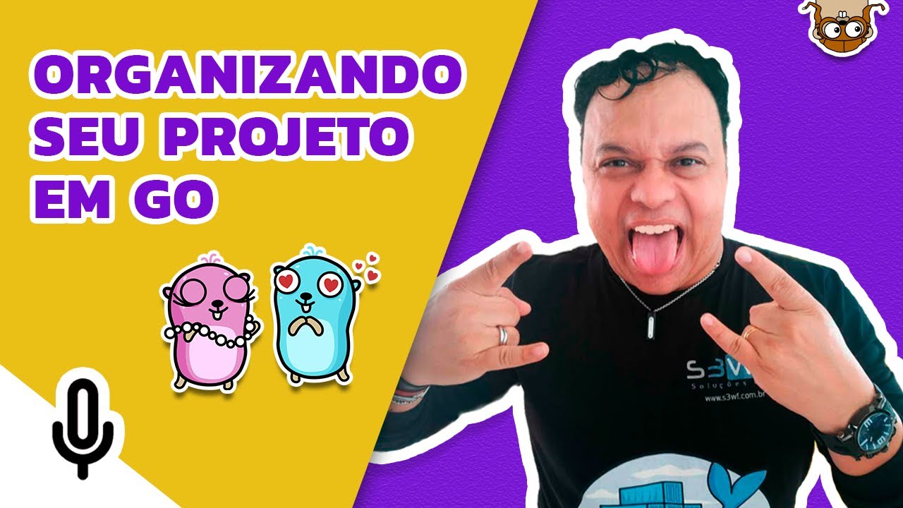 ORGANIZANDO SEU PROJETO EM GO | jeffotoni