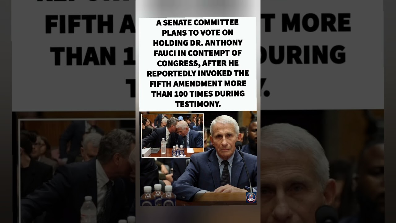 Fauci faces contempt vote after pleading the Fifth over 100 times. #news #senate #fauci #vote