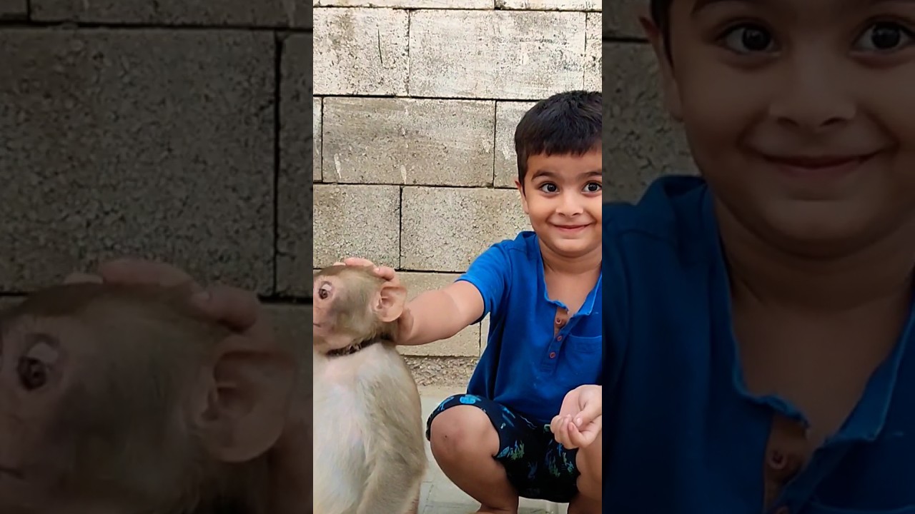 Kid reaction when he pets a Baby Monkey for the first time 😍🥰