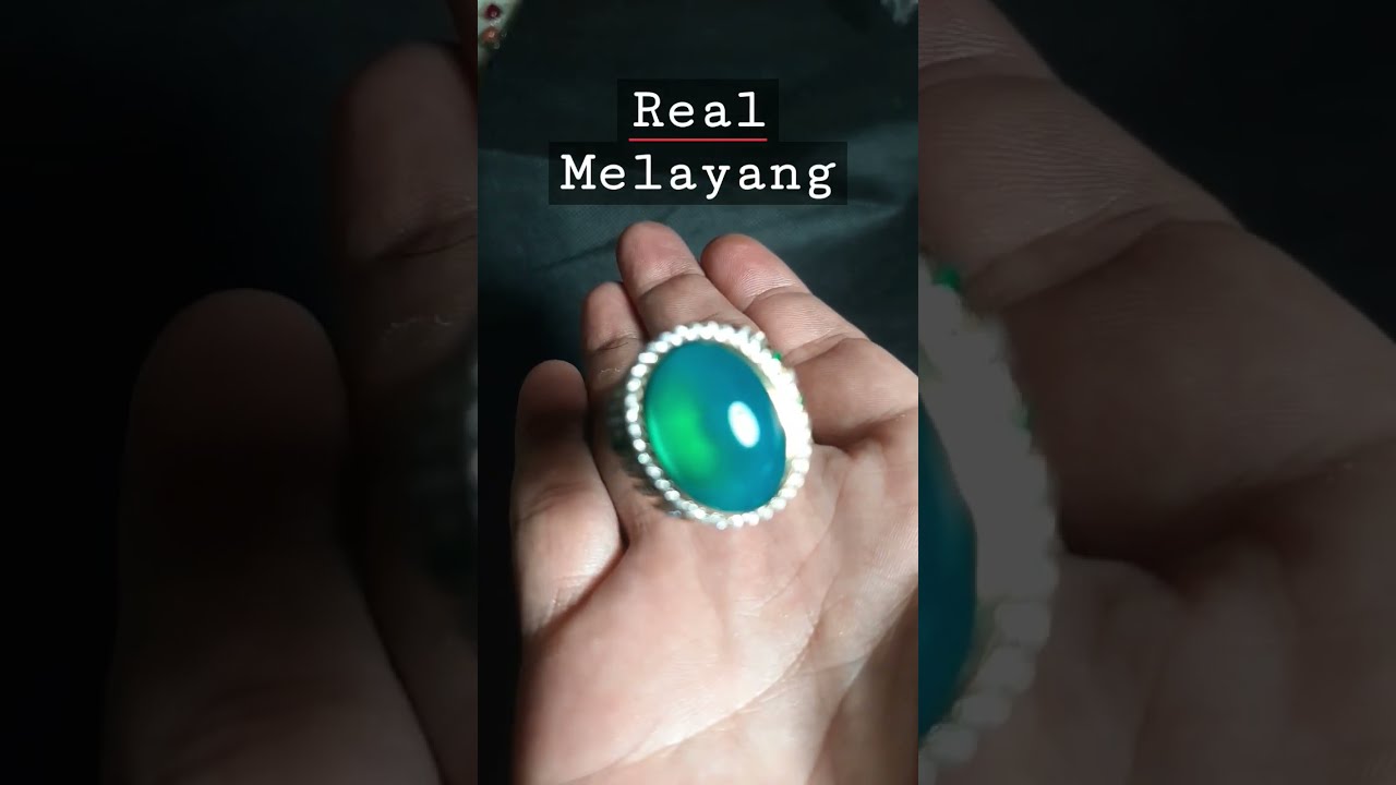 BACAN BISA TERBANG NO EDIT