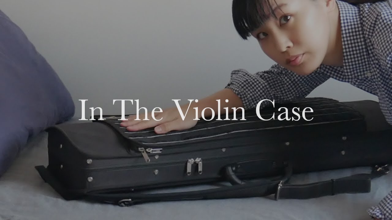 Have a look inside my violin case!