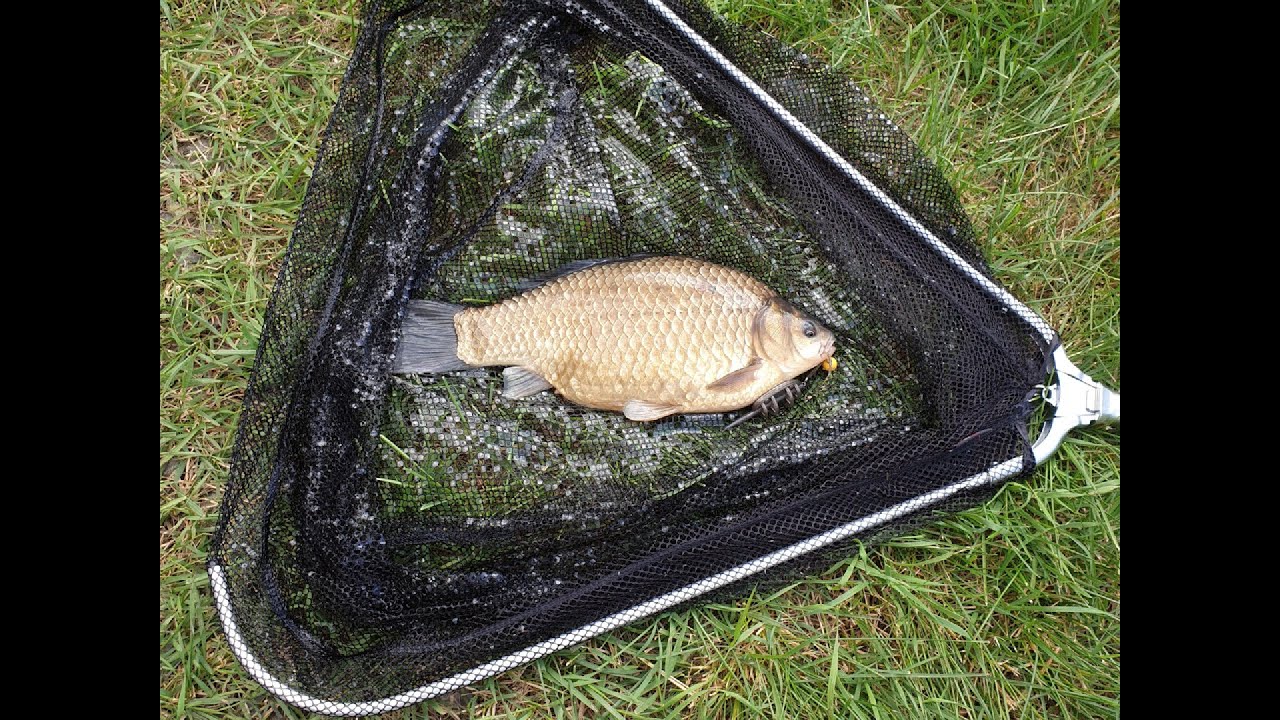 Caras la feeder captura de 1 kg