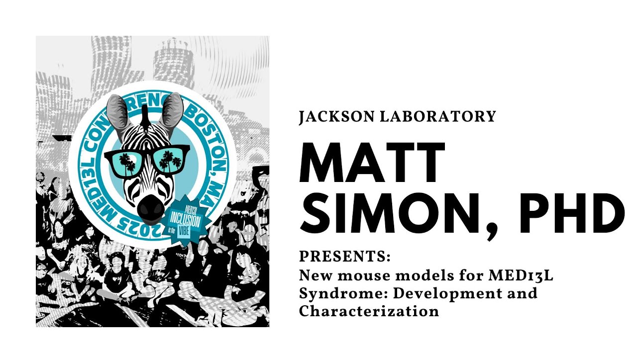 New mouse models for MED13L Syndrome: Development and Characterization