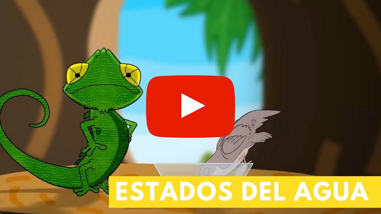 Estados del agua | Camaleón