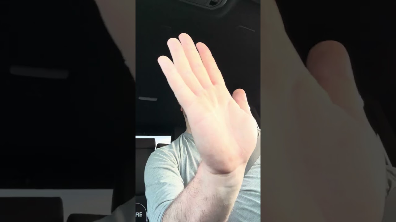 Ethan Ross, Magnolia Park, and PLVTINUM - Animal reaction