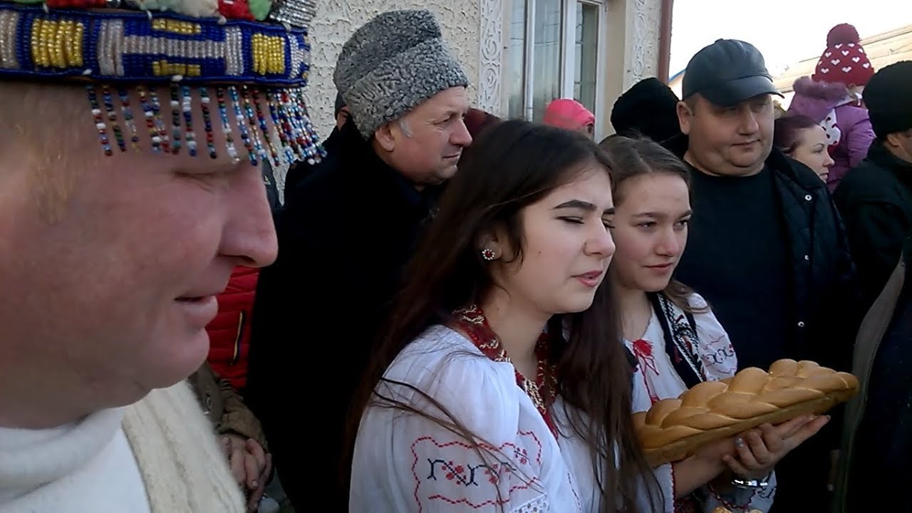 Cerbul de la POIANA MARULUI ~ Comuna CEPLENITA - 31 decembrie 2016