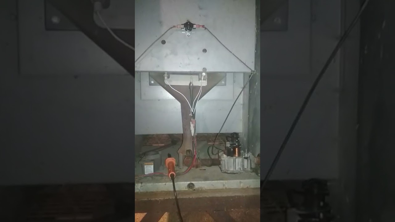 memperbaiki heater/penghangat kandang ayam