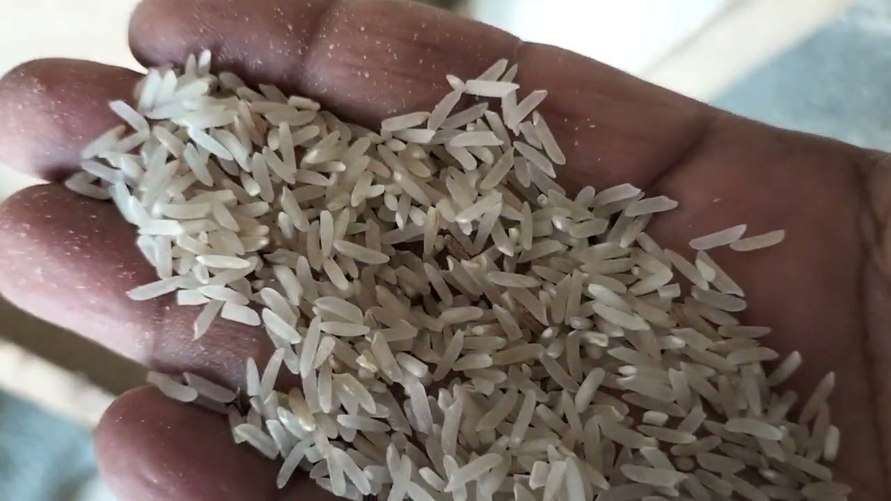 مونجی سے چاول نکالنے کا عمل شیلر میں