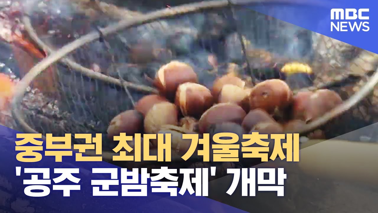 중부권 최대 겨울축제‥ '공주 군밤축제' 개막 (2025.01.16/뉴스데스크/대전MBC)