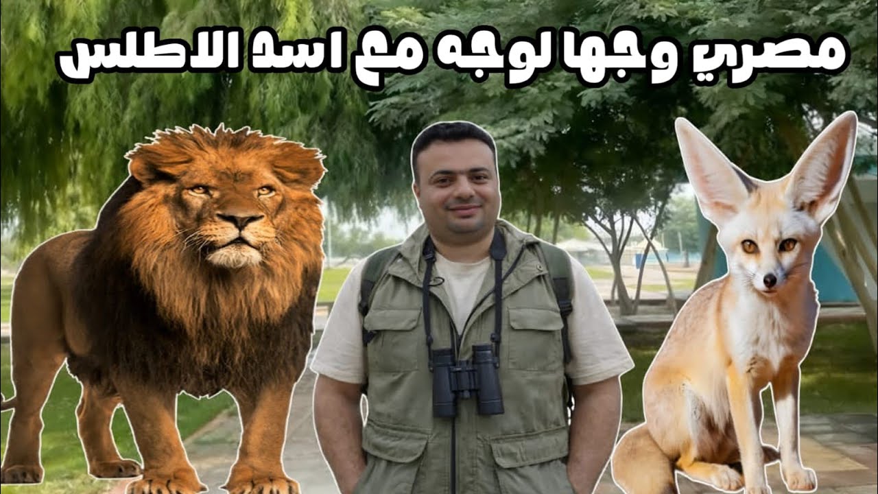قابلت أسد الأطلس وثعلب الصحراء ووحيد القرن لأول مره وجها لوجه في المغرب .مغامره لا تنسي ابدا 😱