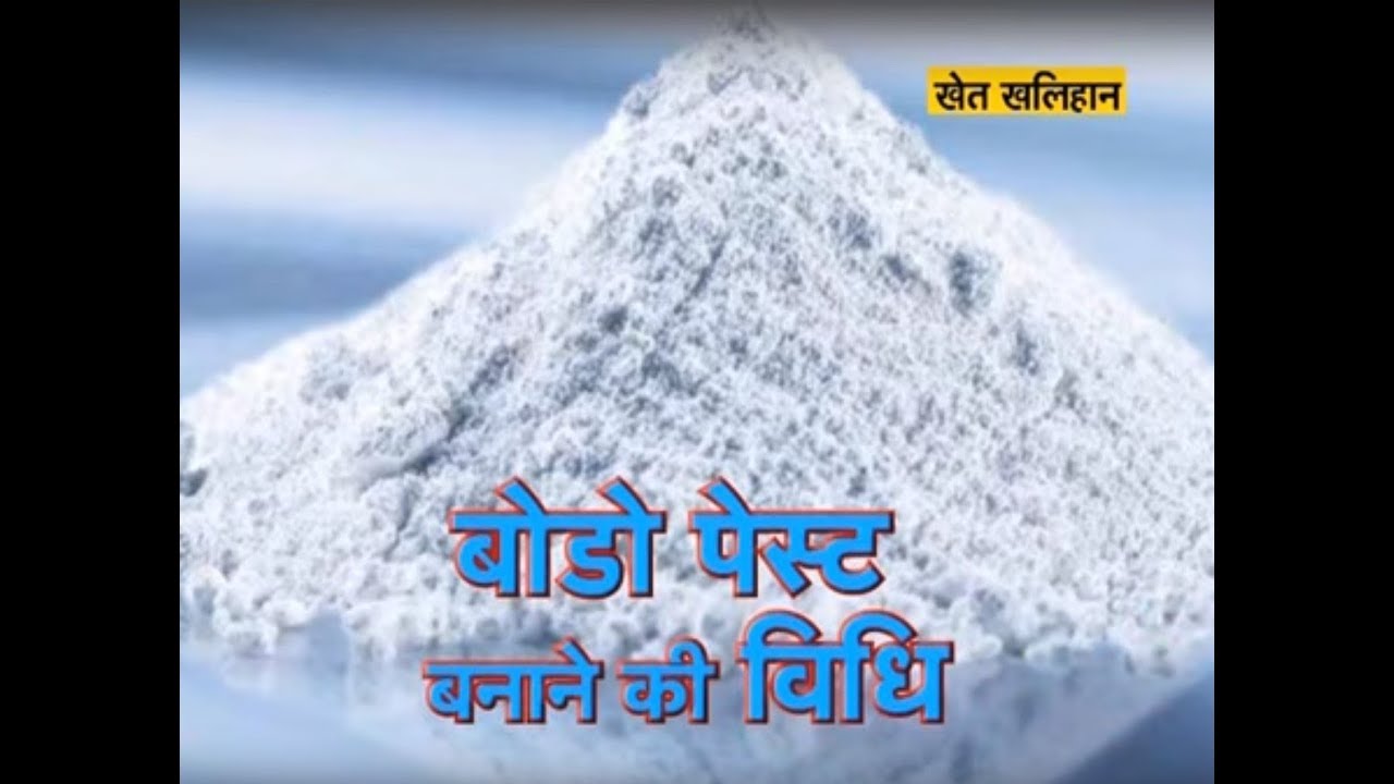 Khet Khalihaan - बोडो पेस्ट बनाने की विधि