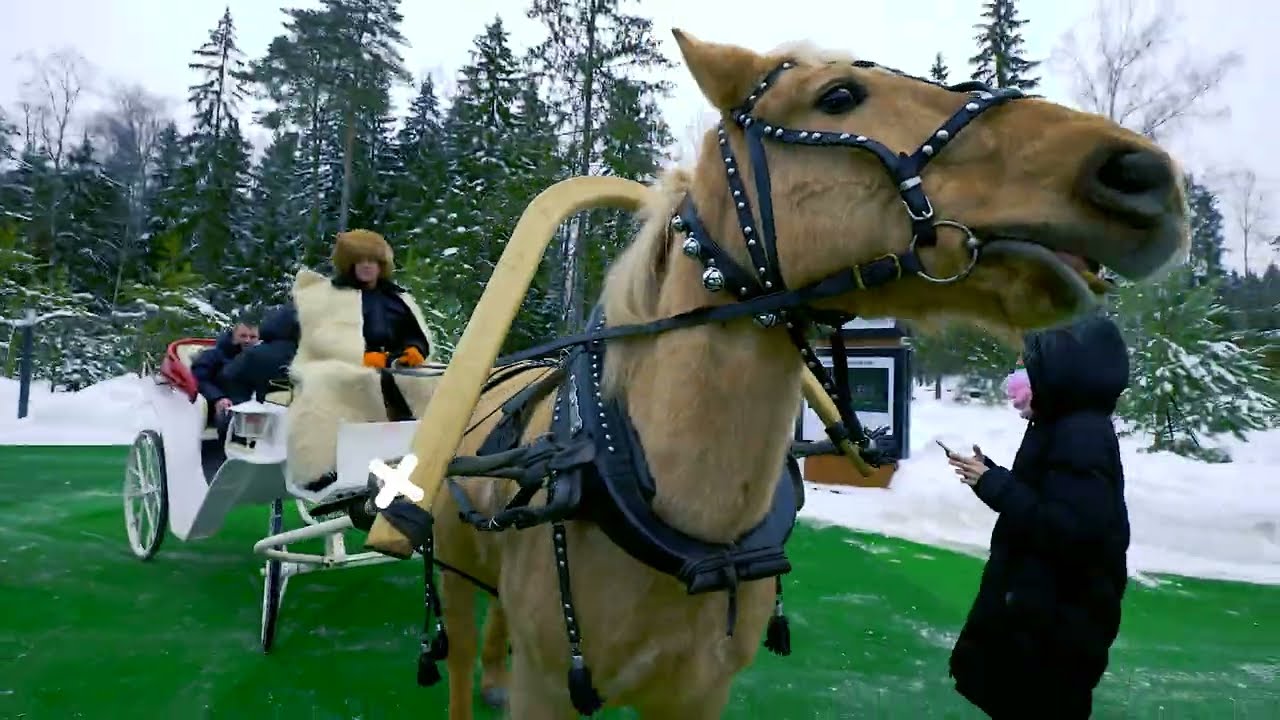 Новый Год 2023 в LES Art Resort!